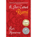 A Girl Called Rumi