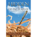Hidden for Divine Purpose