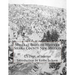 Mineral Belts of Western Sierra County New Mexico