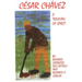 Cesar Chavez, Volume 11: A Triumph of Spirit