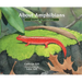 About Amphibians: A Guide for Children (Educational Science Book about Frogs, Toads, Salamanders, & More)