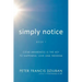 Simply Notice: Clear Awareness is the Key to Happiness, Love and Freedom