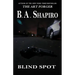 Blind Spot