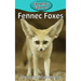 Fennec Foxes