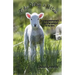 The Way it Was: A Great-grandmother's Stories of Growing up on the Farm