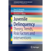 Juvenile Delinquency: Theory, Trends, Risk Factors and Interventions