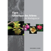 Generic Tree Flora of Madagascar (French)
