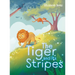 The Tiger and Its Stripes