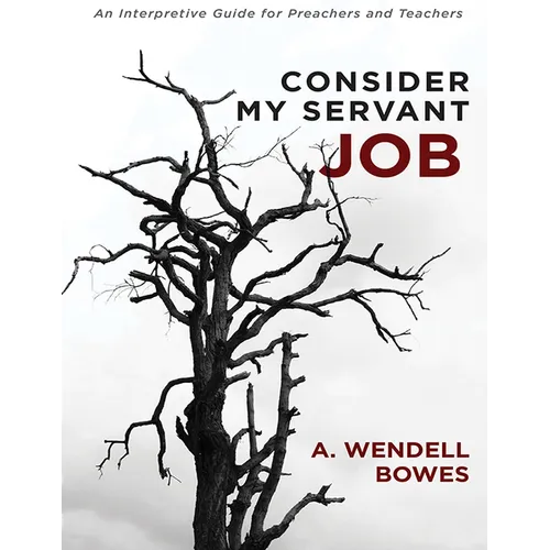 Consider My Servant Job: An Interpretive Guide for Preachers and Teachers
