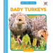 Baby Turkeys