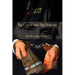 Big Crime and Big Policing: All about Big Money?