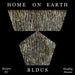 Home on Earth: Recipes for Healthy Houses