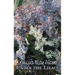 Under the Lilacs by Louisa May Alcott, Fiction, Family, Classics