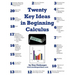 Twenty Key Ideas in Beginning Calculus