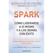 Spark: Cómo liderarse a sí mismo y a los demás con éxito