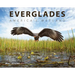 Everglades: America's Wetland