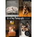 Art of Dog Photography: Pro Techniques for Everybody