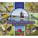 Birds and Beacons of Michigan