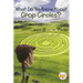 What Do We Know about Crop Circles?