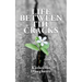 Life Between the Cracks