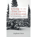 Living in the True Spirit of Christmas: An Advent Devotional