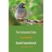 The Enchanted Isles: Las encantadas