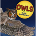 Owls (New & Updated)