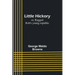 Little Hickory; or, Ragged Rob's young republic