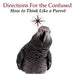 Directions for the Confused: How To Think Like a Parrot