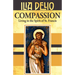 Compassion: Living in the Spirit of St.Francis