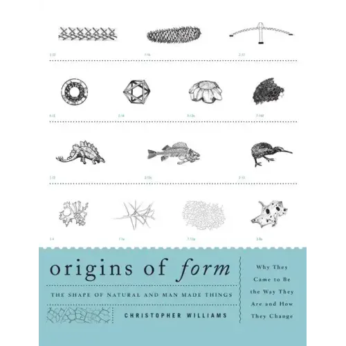 Origins of Form: The Shape of Natural and Man-made Things-Why They Came to Be the Way They Are and How They Change
