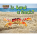 Is Sand a Rock?