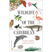 Wildlife of the Caribbean