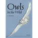 Owls in the Wild: A Visual Essay