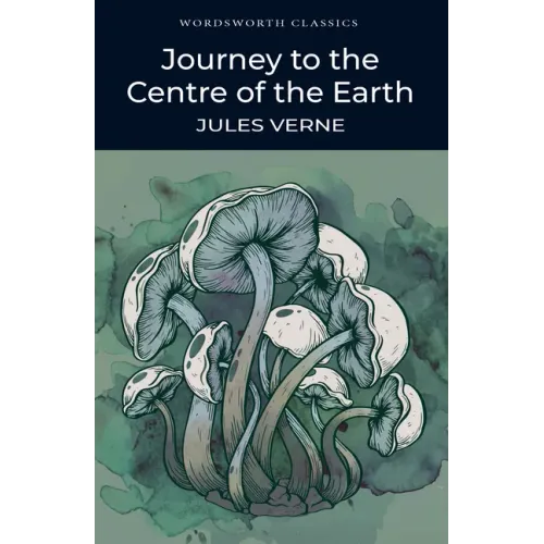 Journey to the Centre of the Earth