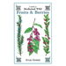 Guide to Medicinal Wild Fruits & Berries