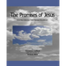 The Promises of Jesus: A 31 Day Intensive Faith Therapy Devotional