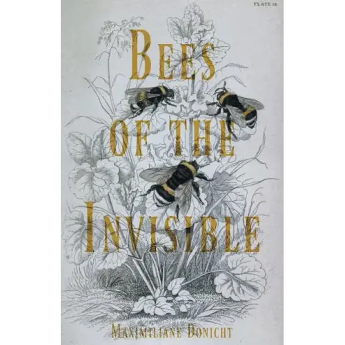 Bees of the Invisible