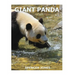 Giant Panda