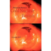Cold Nuclear Fusion: Germany 2012