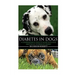 Diabetes in Dogs: A Comprehensive Guide to Diabetes in Dogs