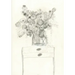 The Stone Soup Sketchbook: Magic Flowers - Analise Braddock - unlined