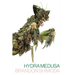 Hydra Medusa