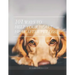 101 Ways To Help Your Heart Heal After Pet Loss
