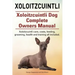 Xoloitzcuintli. Xoloitzcuintli Dog Complete Owners Manual. Xoloitzcuintli care, costs, feeding, grooming, health and training all included.