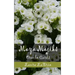 Maya Majiks: Oracle Cards