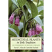 Medicinal Plants in Folk Tradition: An Ethnobotany of Britain & Ireland