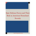 State Defense Forces and Their Role in American Homeland Security