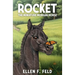 Rocket: The Miniature Morgan Horse