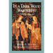 In a Dark Wood Wandering: A Novel of the Middle Ages